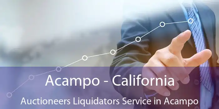 Acampo - California Auctioneers Liquidators Service in Acampo