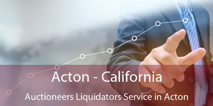 Acton - California Auctioneers Liquidators Service in Acton