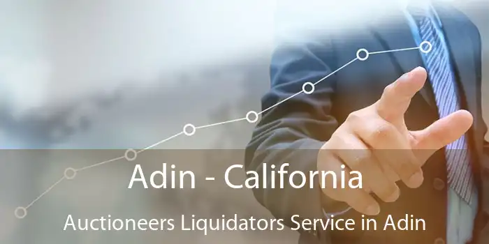 Adin - California Auctioneers Liquidators Service in Adin