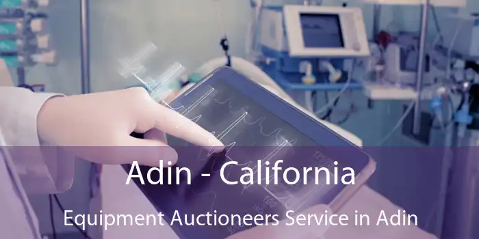 Adin - California Equipment Auctioneers Service in Adin