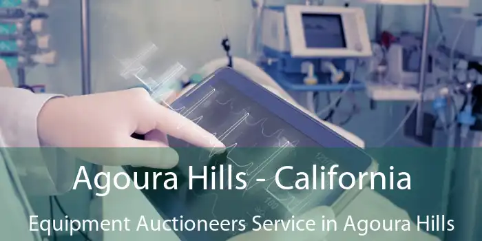 Agoura Hills - California Equipment Auctioneers Service in Agoura Hills