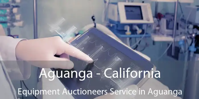 Aguanga - California Equipment Auctioneers Service in Aguanga