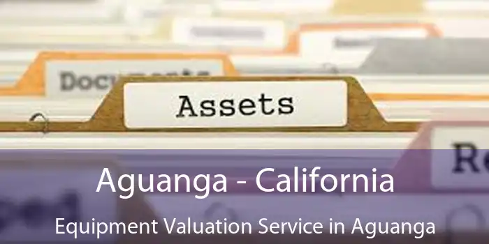 Aguanga - California Equipment Valuation Service in Aguanga