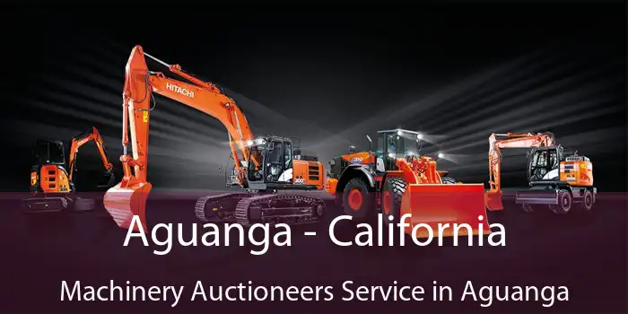 Aguanga - California Machinery Auctioneers Service in Aguanga