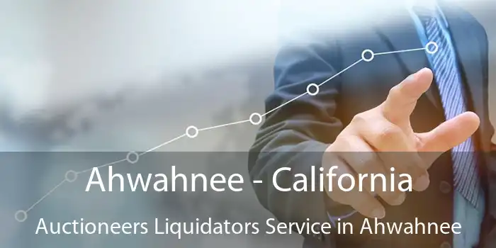 Ahwahnee - California Auctioneers Liquidators Service in Ahwahnee