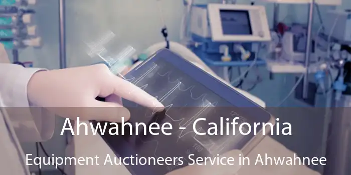 Ahwahnee - California Equipment Auctioneers Service in Ahwahnee