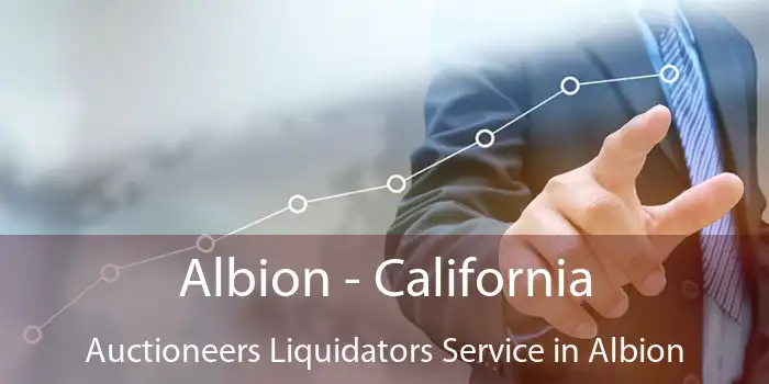 Albion - California Auctioneers Liquidators Service in Albion