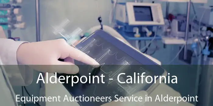 Alderpoint - California Equipment Auctioneers Service in Alderpoint