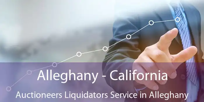 Alleghany - California Auctioneers Liquidators Service in Alleghany