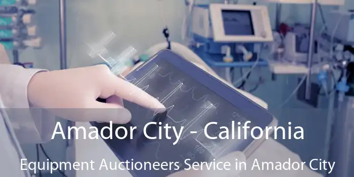 Amador City - California Equipment Auctioneers Service in Amador City