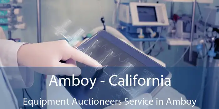 Amboy - California Equipment Auctioneers Service in Amboy