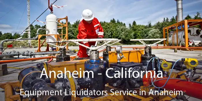 Anaheim - California Equipment Liquidators Service in Anaheim