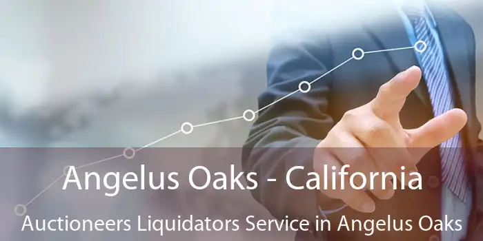 Angelus Oaks - California Auctioneers Liquidators Service in Angelus Oaks