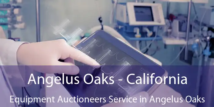 Angelus Oaks - California Equipment Auctioneers Service in Angelus Oaks