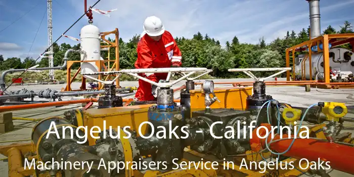 Angelus Oaks - California Machinery Appraisers Service in Angelus Oaks