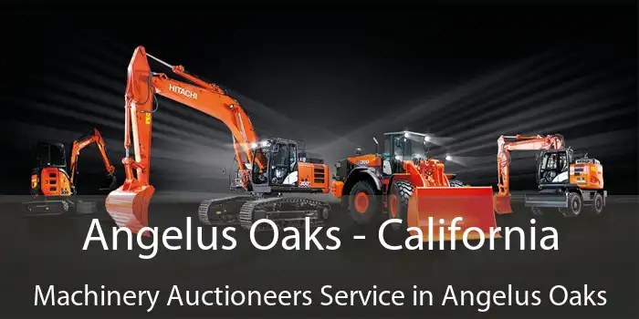 Angelus Oaks - California Machinery Auctioneers Service in Angelus Oaks