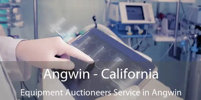 Angwin - California Equipment Auctioneers Service in Angwin