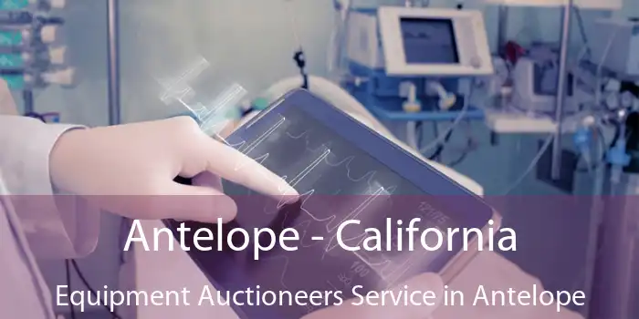 Antelope - California Equipment Auctioneers Service in Antelope