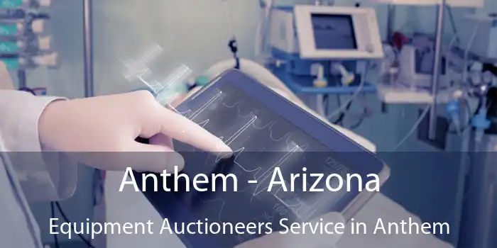 Anthem - Arizona Equipment Auctioneers Service in Anthem