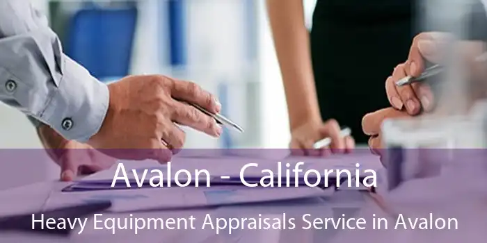 Avalon - California Heavy Equipment Appraisals Service in Avalon