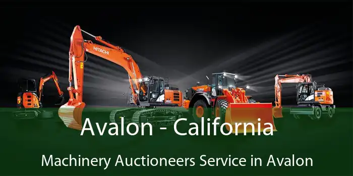 Avalon - California Machinery Auctioneers Service in Avalon