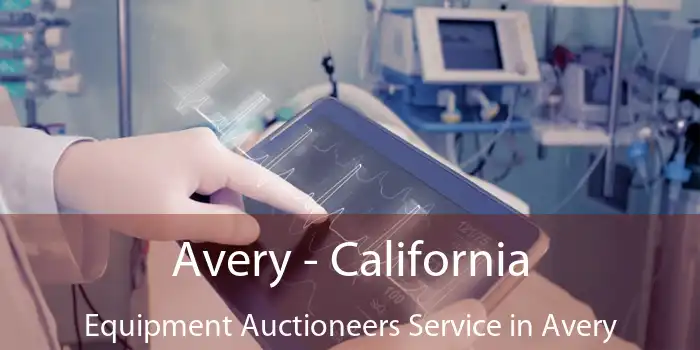 Avery - California Equipment Auctioneers Service in Avery