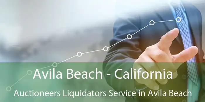 Avila Beach - California Auctioneers Liquidators Service in Avila Beach