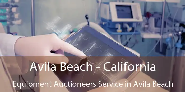 Avila Beach - California Equipment Auctioneers Service in Avila Beach