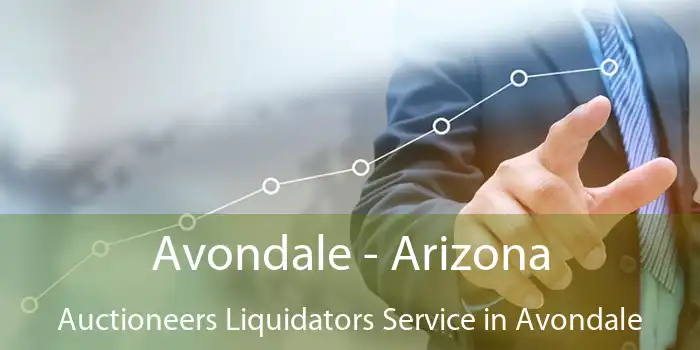 Avondale - Arizona Auctioneers Liquidators Service in Avondale