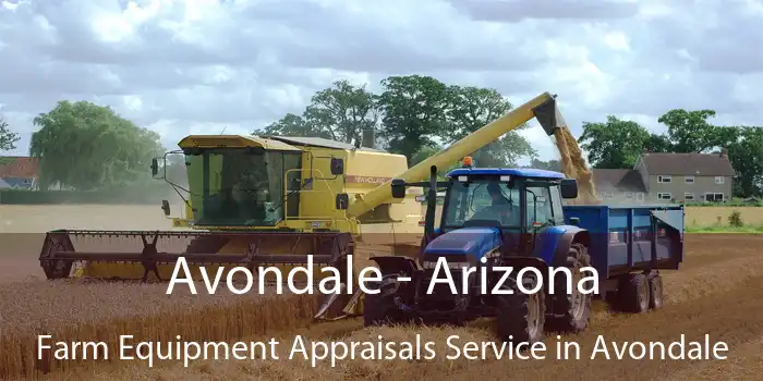 Avondale - Arizona Farm Equipment Appraisals Service in Avondale