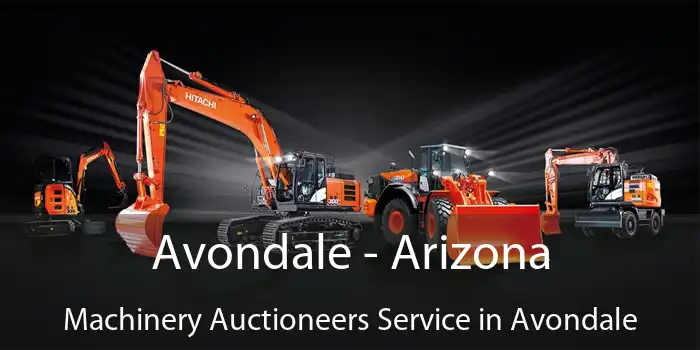 Avondale - Arizona Machinery Auctioneers Service in Avondale