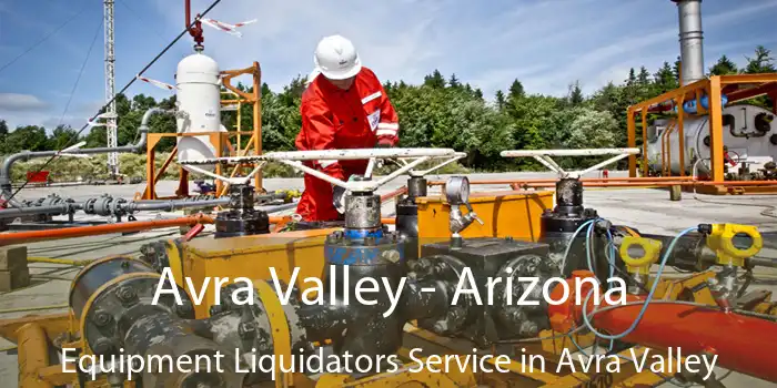 Avra Valley - Arizona Equipment Liquidators Service in Avra Valley