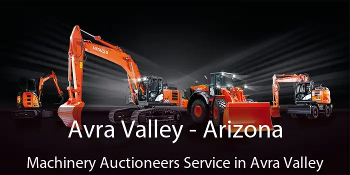 Avra Valley - Arizona Machinery Auctioneers Service in Avra Valley