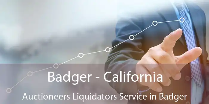 Badger - California Auctioneers Liquidators Service in Badger