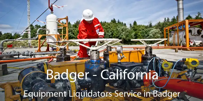 Badger - California Equipment Liquidators Service in Badger