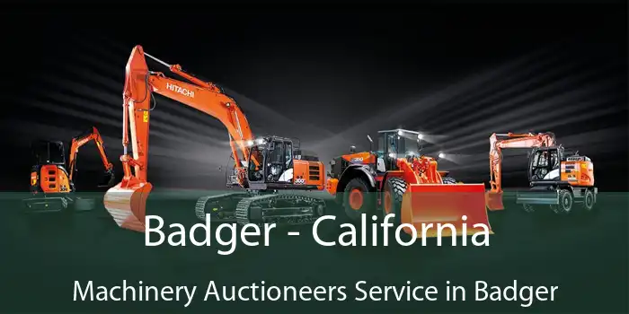 Badger - California Machinery Auctioneers Service in Badger