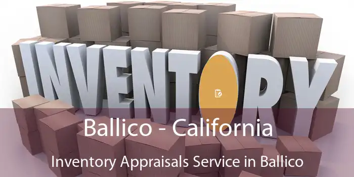 Ballico - California Inventory Appraisals Service in Ballico