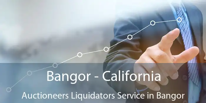 Bangor - California Auctioneers Liquidators Service in Bangor