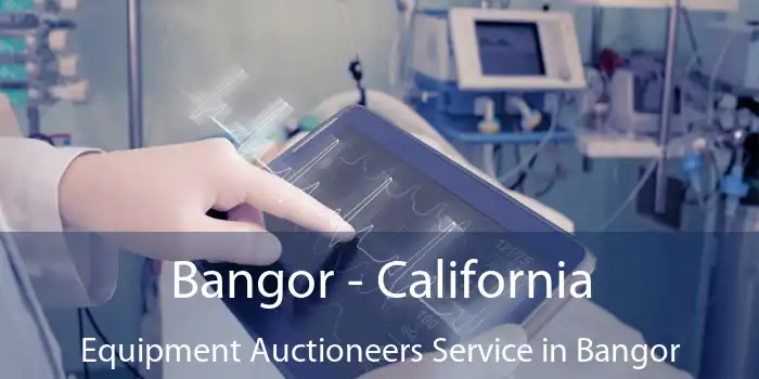 Bangor - California Equipment Auctioneers Service in Bangor