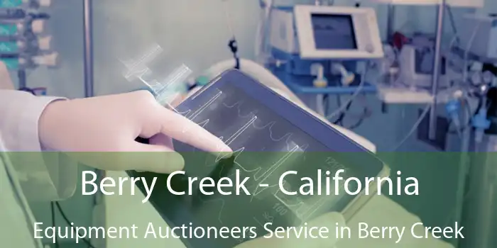 Berry Creek - California Equipment Auctioneers Service in Berry Creek