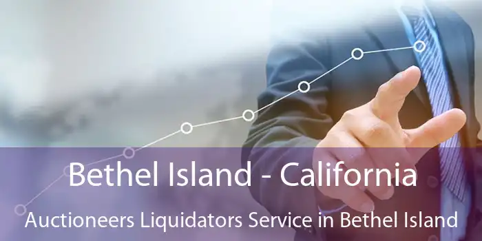 Bethel Island - California Auctioneers Liquidators Service in Bethel Island