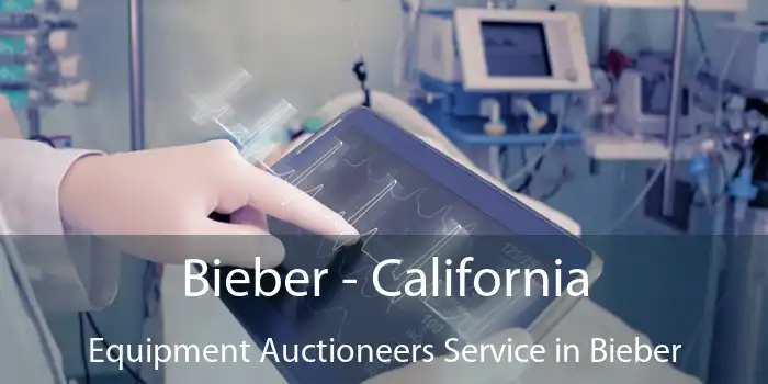 Bieber - California Equipment Auctioneers Service in Bieber