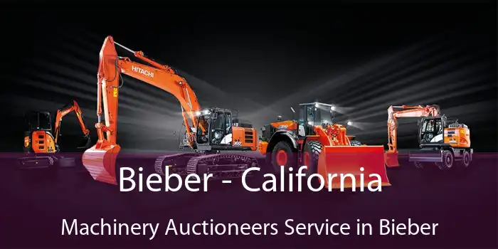 Bieber - California Machinery Auctioneers Service in Bieber