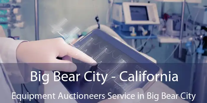 Big Bear City - California Equipment Auctioneers Service in Big Bear City