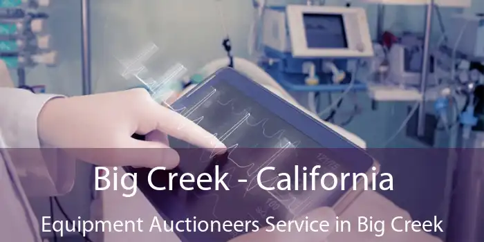 Big Creek - California Equipment Auctioneers Service in Big Creek