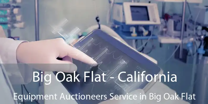 Big Oak Flat - California Equipment Auctioneers Service in Big Oak Flat