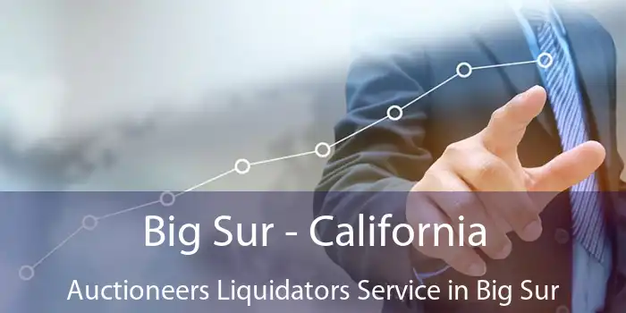 Big Sur - California Auctioneers Liquidators Service in Big Sur