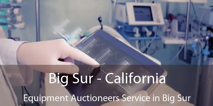 Big Sur - California Equipment Auctioneers Service in Big Sur