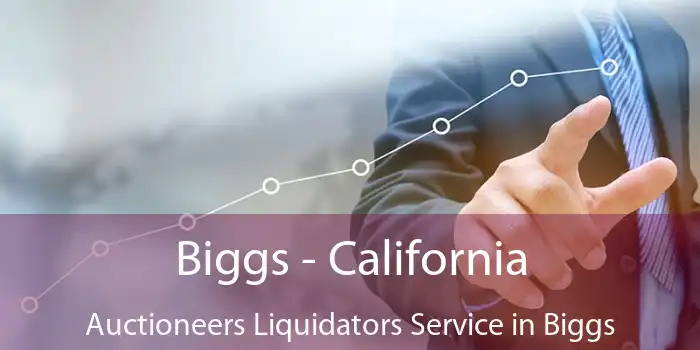 Biggs - California Auctioneers Liquidators Service in Biggs