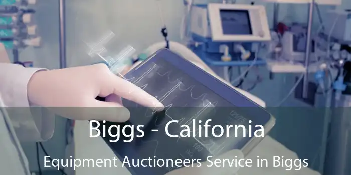 Biggs - California Equipment Auctioneers Service in Biggs